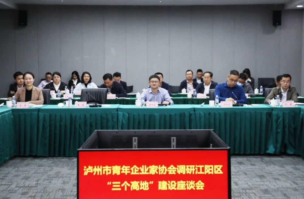 座谈会现场江阳区领导刘泽军,王刚,路敦琴,杨勰,苏菲参加相关活动.