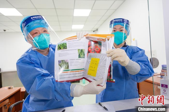 种子夹藏书本中北京海关连续查获违规进境植物种子