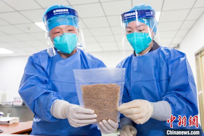 种子夹藏书本中北京海关连续查获违规进境植物种子