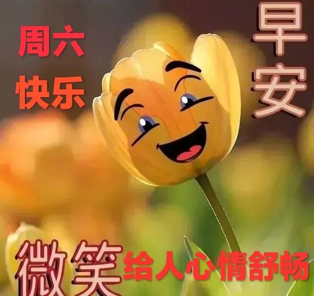 週六好看的早安祝福圖片合集,2022年早上好問候句子