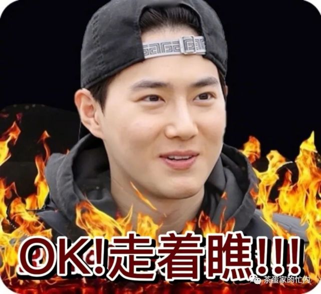 exo表情包来袭,嘟嘟那张太搞笑了,不愧是高冷嘟!