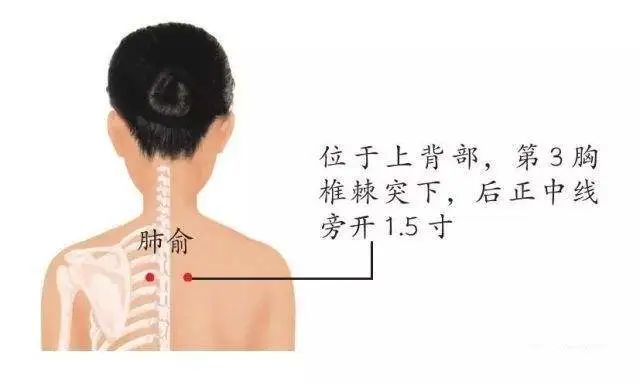 肺俞穴咳嗽气喘吐血鼻塞