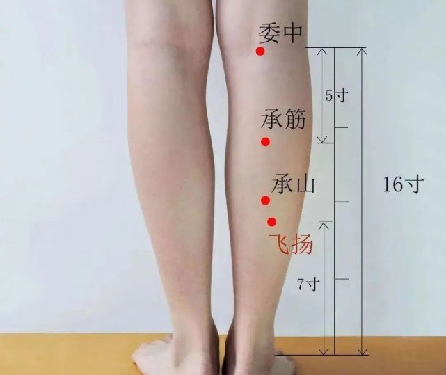 飞扬穴:常按飞扬 健步如飞