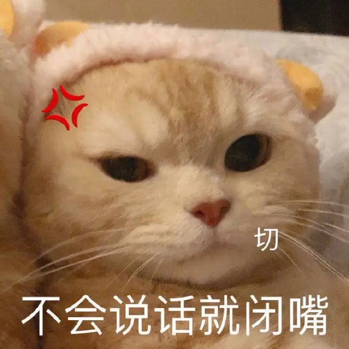 表情包丨情侣日常聊天必囤表情包不说话就闭嘴