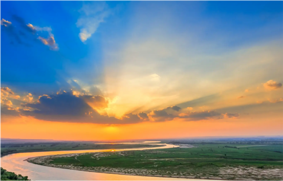 淡水鱼没法在海水里存活 黄河每天有大量鱼进入大海 鱼都去哪了 腾讯新闻