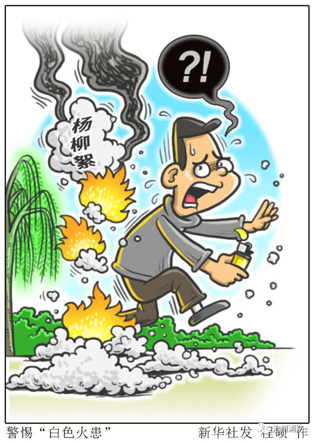 提醒当心飞絮惹火