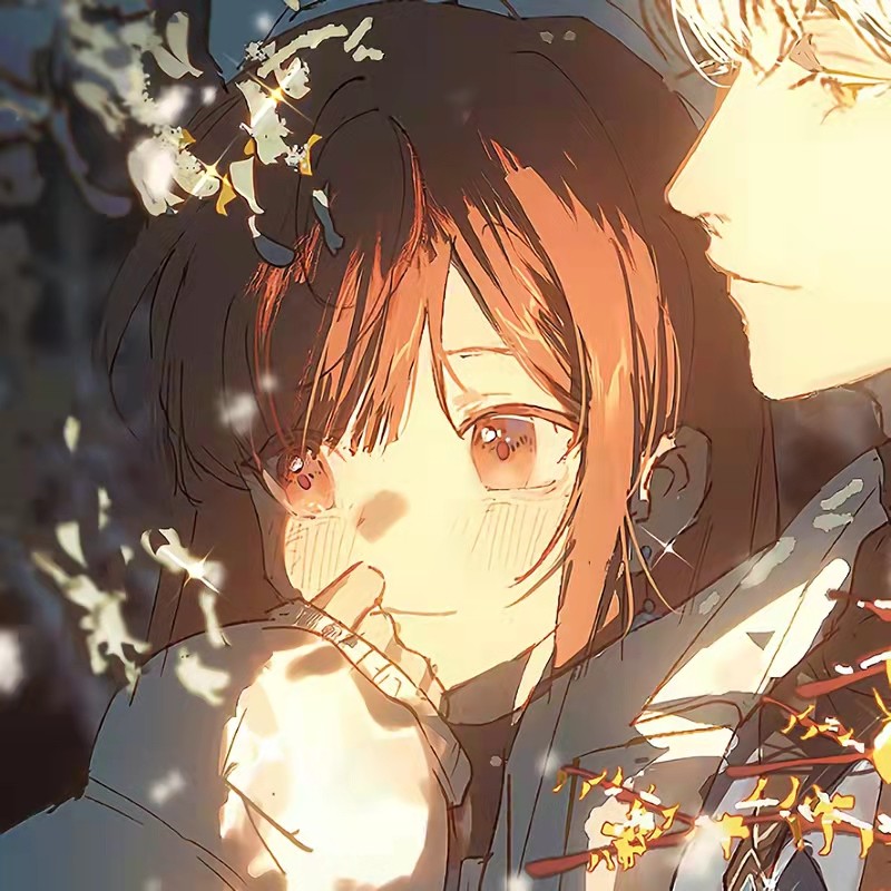 情侣头像|致闪闪发光的你插图4