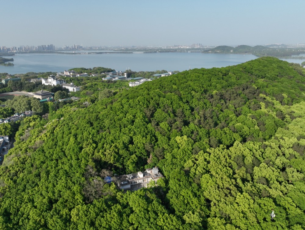 珞珈山上的神秘光束,究竟是什么?_腾讯新闻