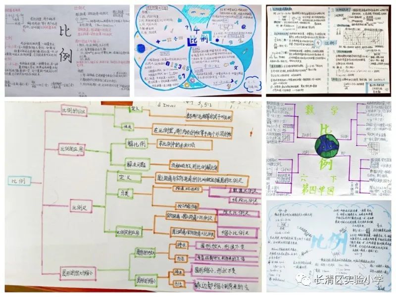 思維進階導圖聚焦長清區實驗小學六年級開展數學思維導圖評選活動