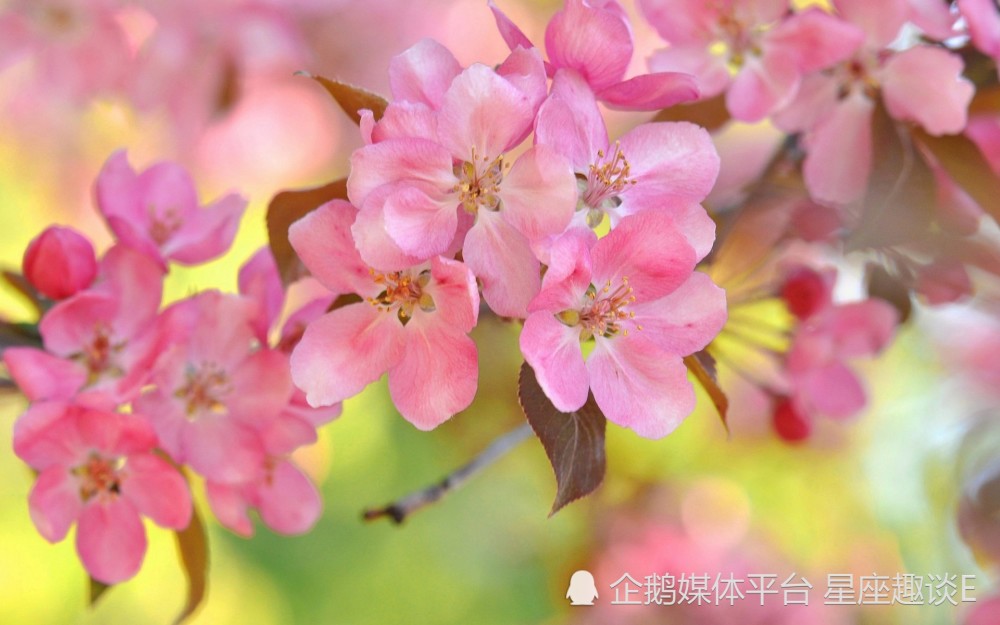 4月17日星座运势 目标清晰 明察秋毫的四大星座 天天看点