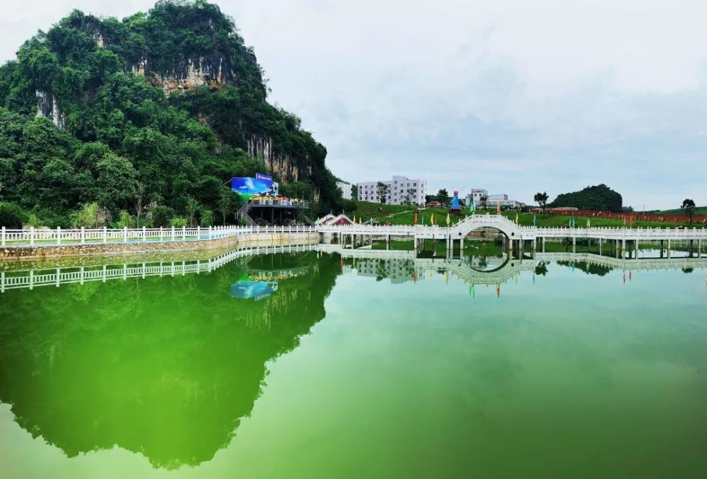 坚持项目为王,打造精品工程,加快广西石埠乳业万头奶牛场二期项目等