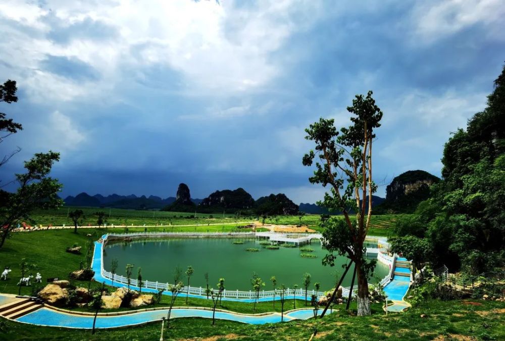 图|广西石埠乳业万头奶牛场内好风光钱远军广西石埠乳业生态观光牧场