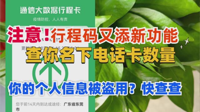 行程碼新功能來了,可以查你名下電話卡數量,小心被冒用趕緊查查