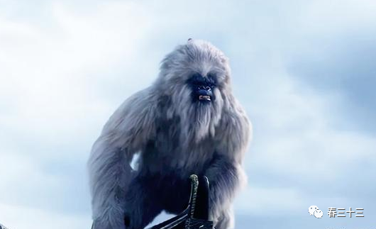 阿青13岁那年,一名剑仙化身白猿,跑来传她剑法,两年后剑仙已不是她的