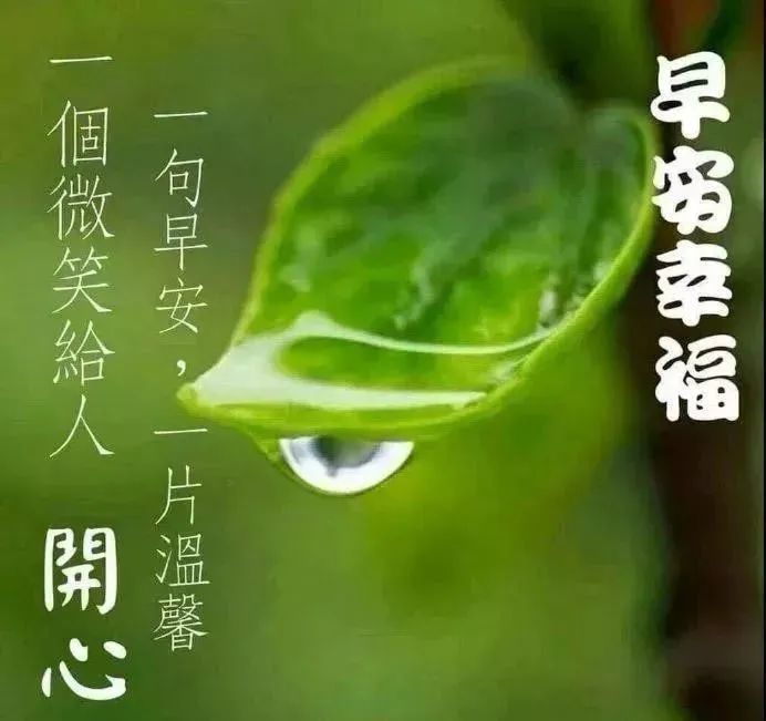 適合下雨天群發的早晨好問候語動態圖片表情漂亮早上好問候語動表情