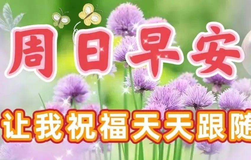 5月15日週日群發特別漂亮早上好祝福問候語圖片暖心