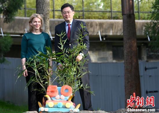 美国国家动物园庆祝大熊猫抵美50周年南京特种师范学校