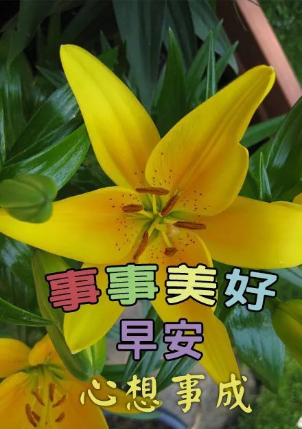 每天更新早上好祝福圖片祝福早上好的圖片精選