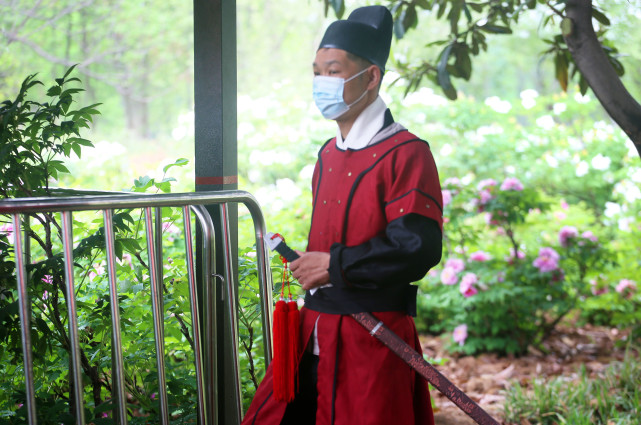 洛阳一株牡丹走红,5名"带刀护卫"轮流守护,游客只能看30秒