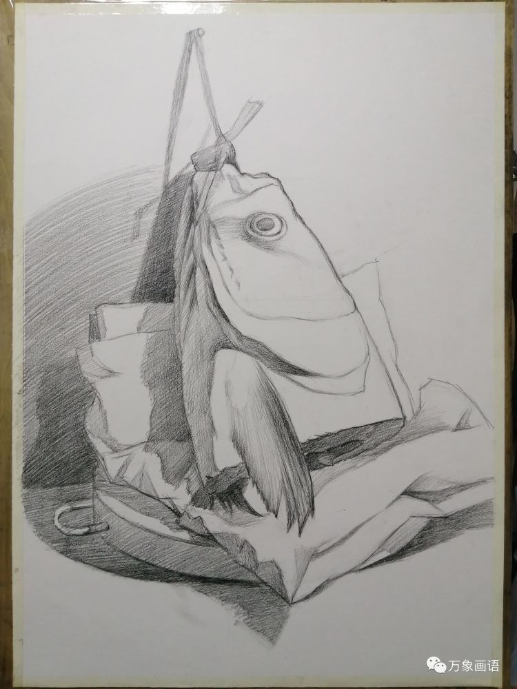 "素描静物教程",鱼头画法