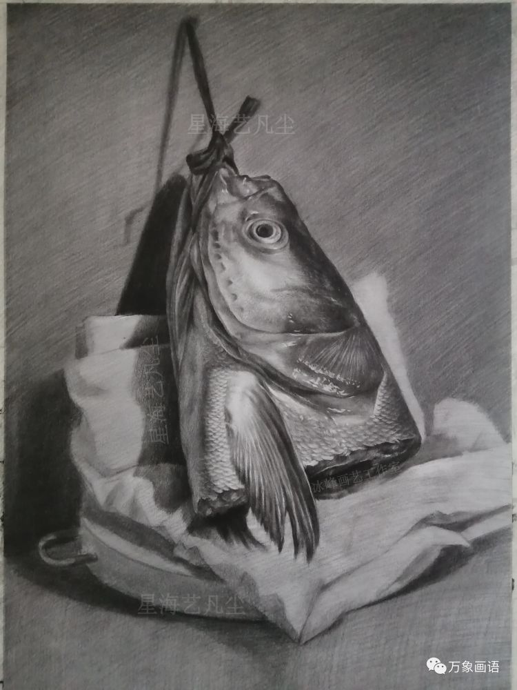 "素描静物教程",鱼头画法