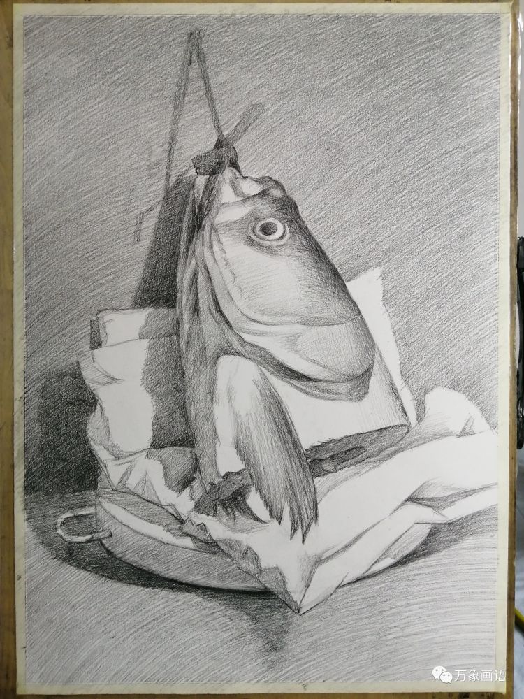 "素描静物教程",鱼头画法