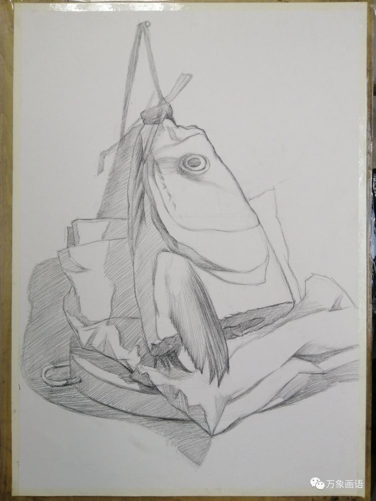 "素描静物教程",鱼头画法