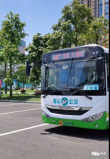茂名电白粤运关于恢复部分公交客运线路运营的通知