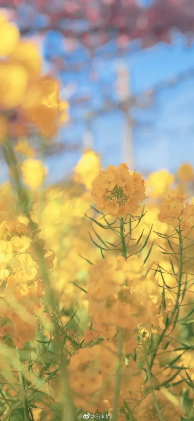 《鱼缸》作者:spiral你听过司马光砸缸的故事吗?孟钰就是那个砸开