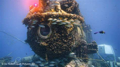 【海气|科普】海洋空间利用——蓝色国土