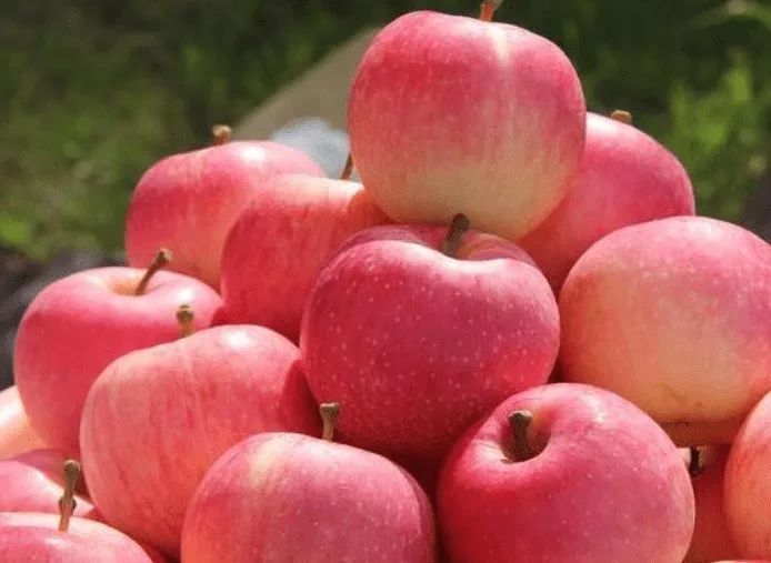 多种春夏季时令水果新上市供应量较小导致价格偏高