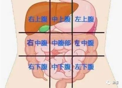体内有癌 肚子知道 腹部若是出现三个异常 需警惕疾病来袭 腾讯新闻