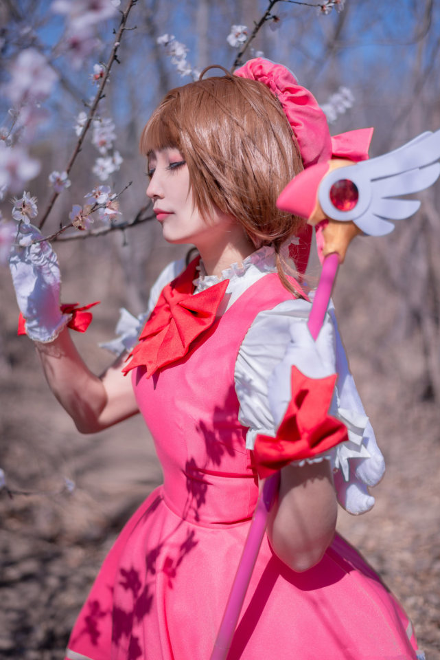 木之本樱cosplay