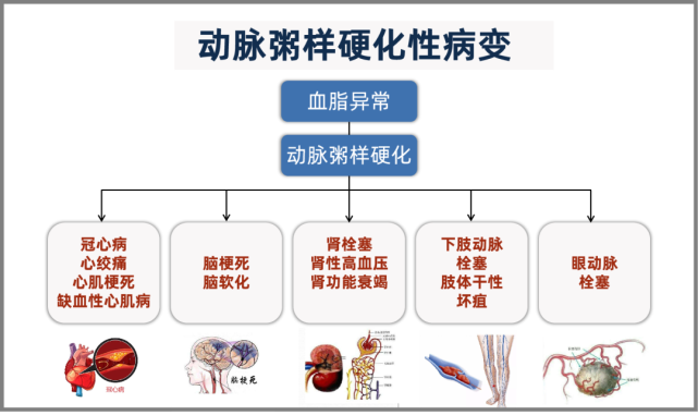 它最直接地就是導致血液流動不順暢,身體器官無法及時吸