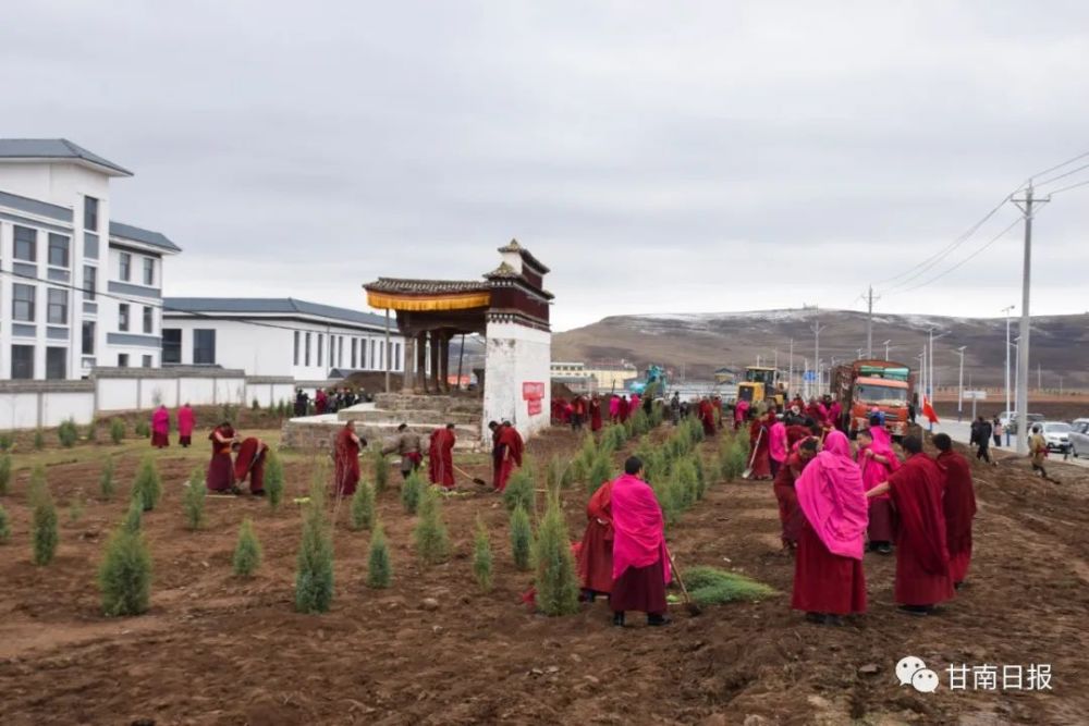 夏河县阿木去乎寺,玛曲县外香寺,临潭县江可寺共11座藏传佛教寺庙同步