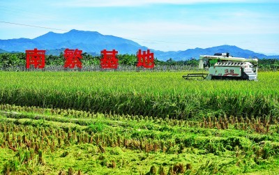 位于海南三亚市崖州区的南繁公共试验基地试验示范点. 新华社发