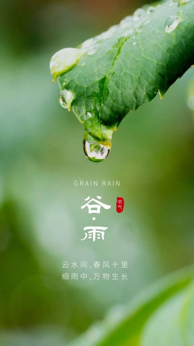 2022最新穀雨祝福圖片海報配圖大全,二十四節氣穀雨問候祝福語大全