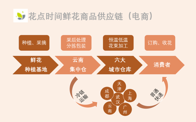 鲜花供应链：连接美丽与市场的纽带