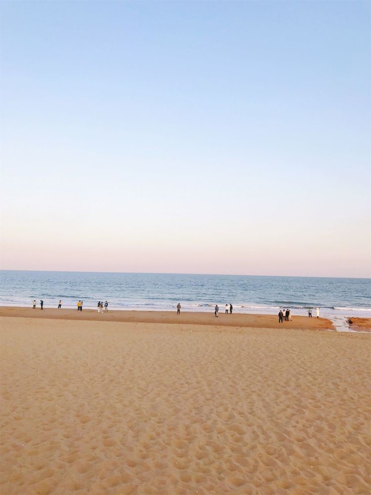 日照海泳赶海喂海鸥吃海鲜旅行攻略