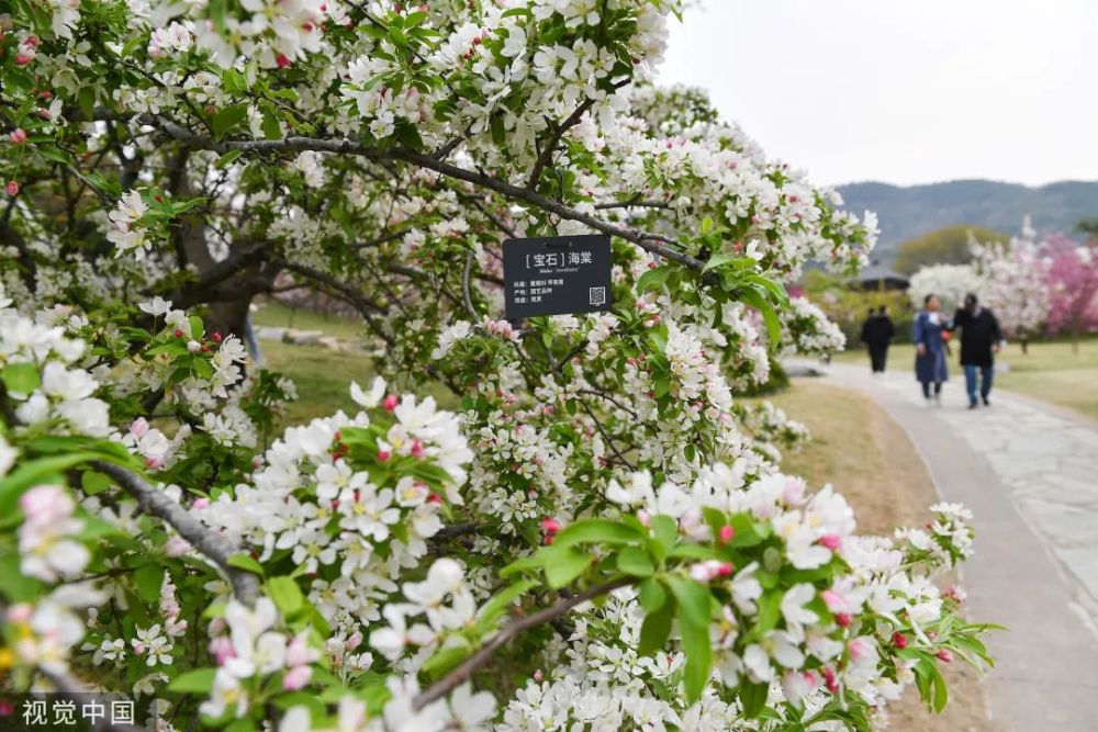 全国普涨！明日（4月19）鸡蛋价格预测