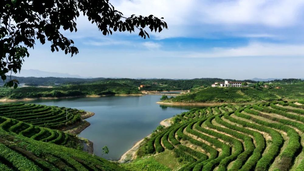 不负春光随县这些景区已开放春游安排上