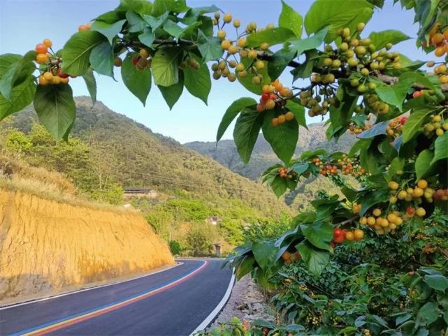 一天一点普洱(2347)景东黄草岭"彩虹路"上线,无量山居半山酒店即将