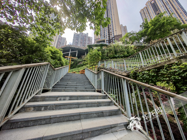 公园内蜿蜒的梯道.华龙网-新重庆客户端记者 谢鹏飞 摄