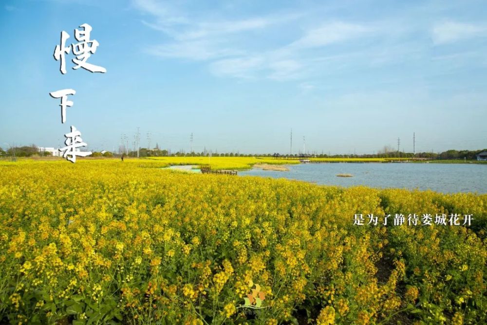 慢下来!静下来!停下来!_腾讯新闻