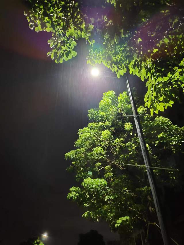 雨夜中獨行