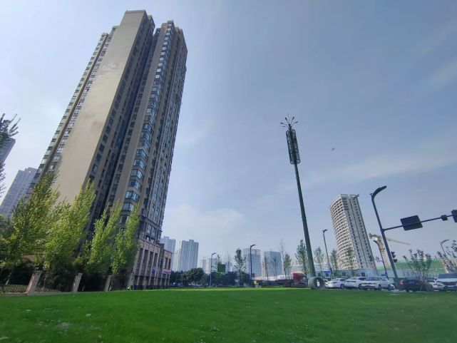 身边事|大丰绿地城外"新宠儿"上线,休闲散步好不惬意!