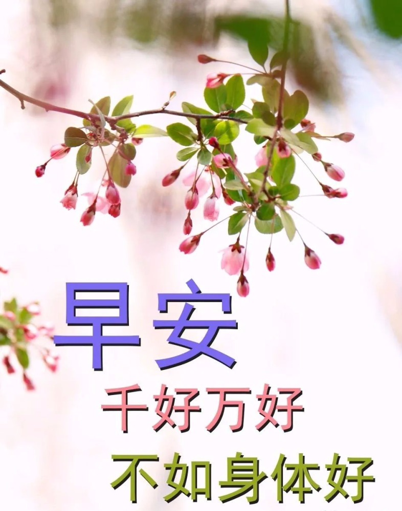 4月19日早上好朋友早上好問候專輯早上好問候語早上好圖片表情大全