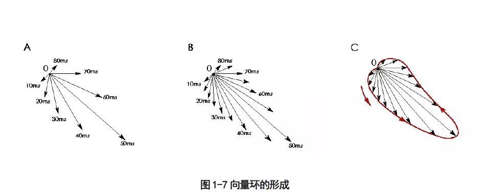 在不斷改變,因而產生的各瞬間綜合心電向量的大小和方向也隨之變化