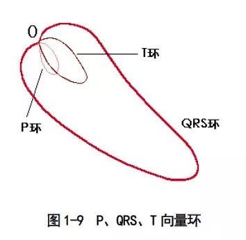 心電系列第一講:心向量圖與電的關係_騰訊新聞