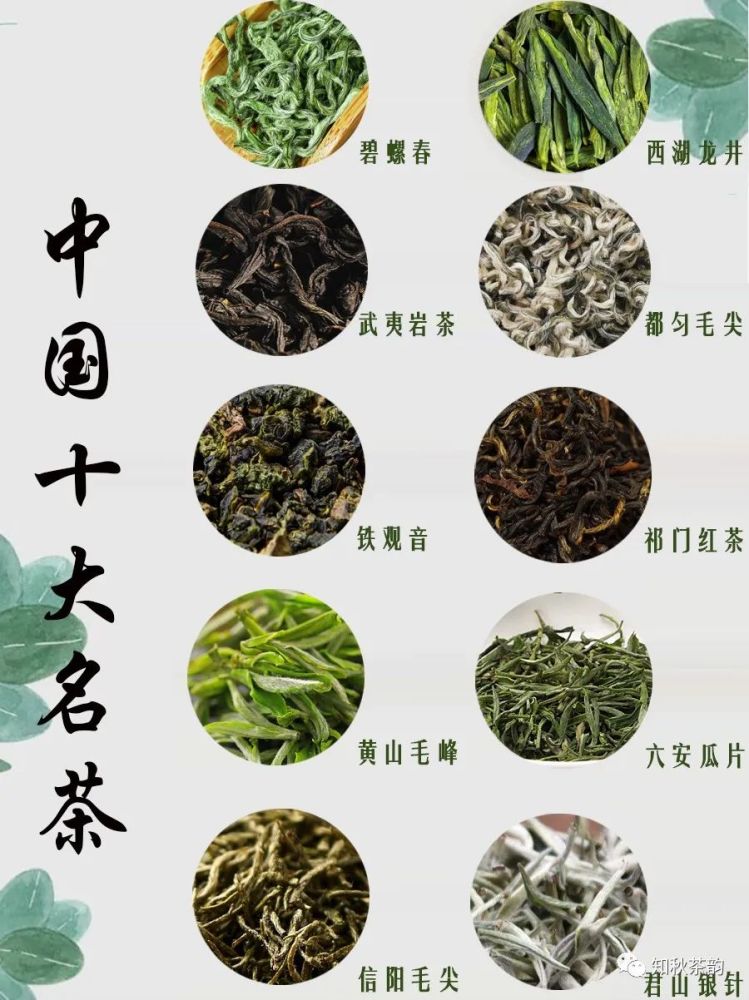 中国十大名茶的区别与分类